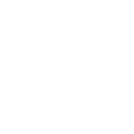 Elin Silverio